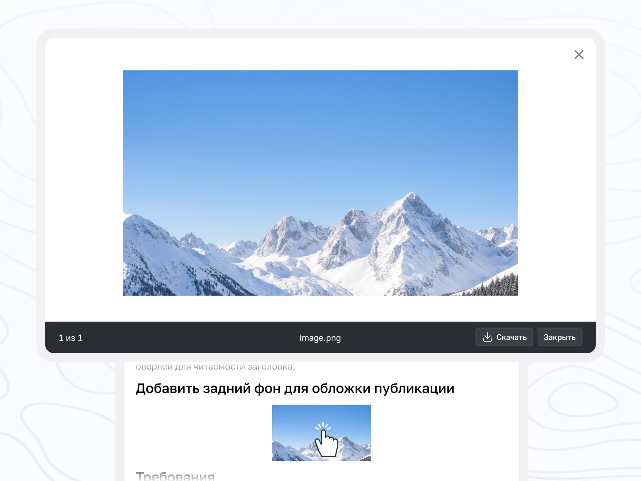 Article image